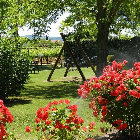 Agriturismo Fusini Villa Magliano in Toscana Esterno foto