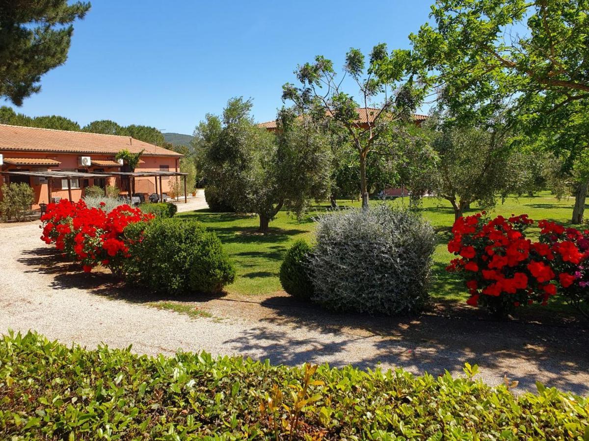 Agriturismo Fusini Villa Magliano in Toscana Esterno foto