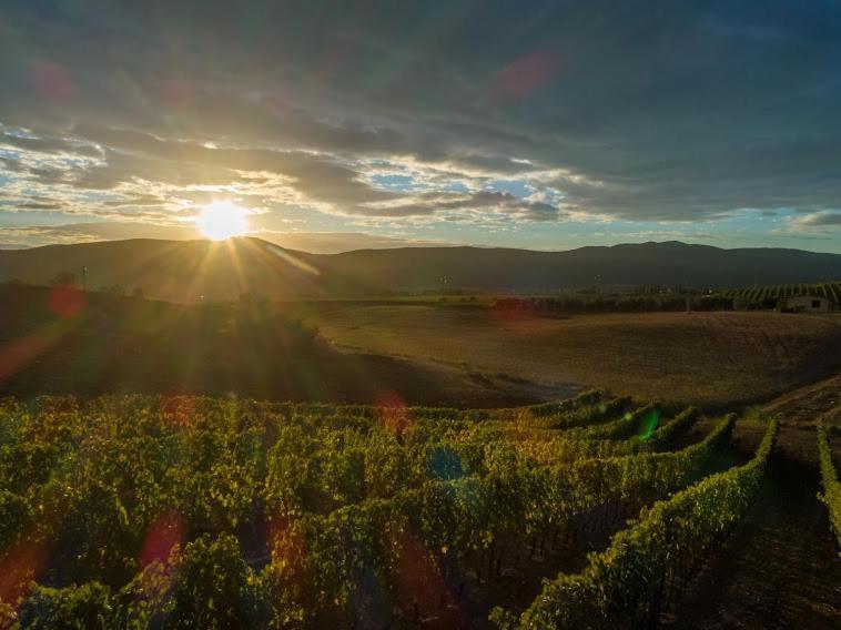 Agriturismo Fusini Villa Magliano in Toscana Esterno foto