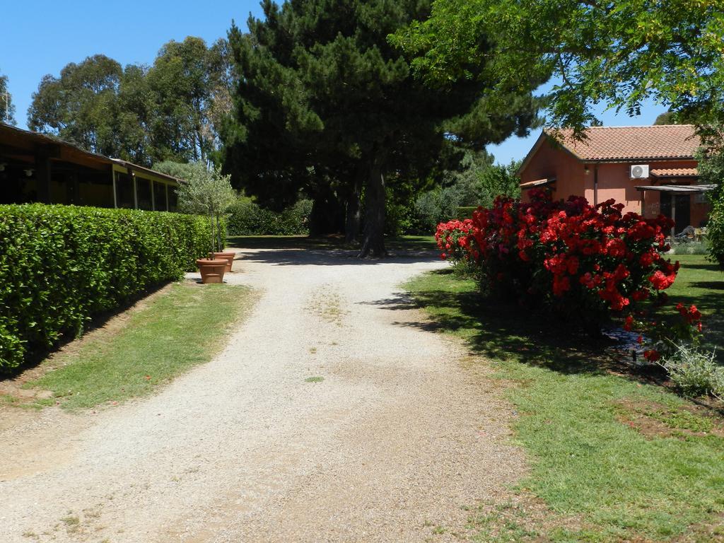 Agriturismo Fusini Villa Magliano in Toscana Esterno foto