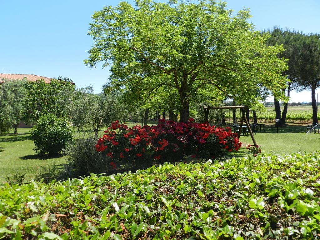 Agriturismo Fusini Villa Magliano in Toscana Esterno foto