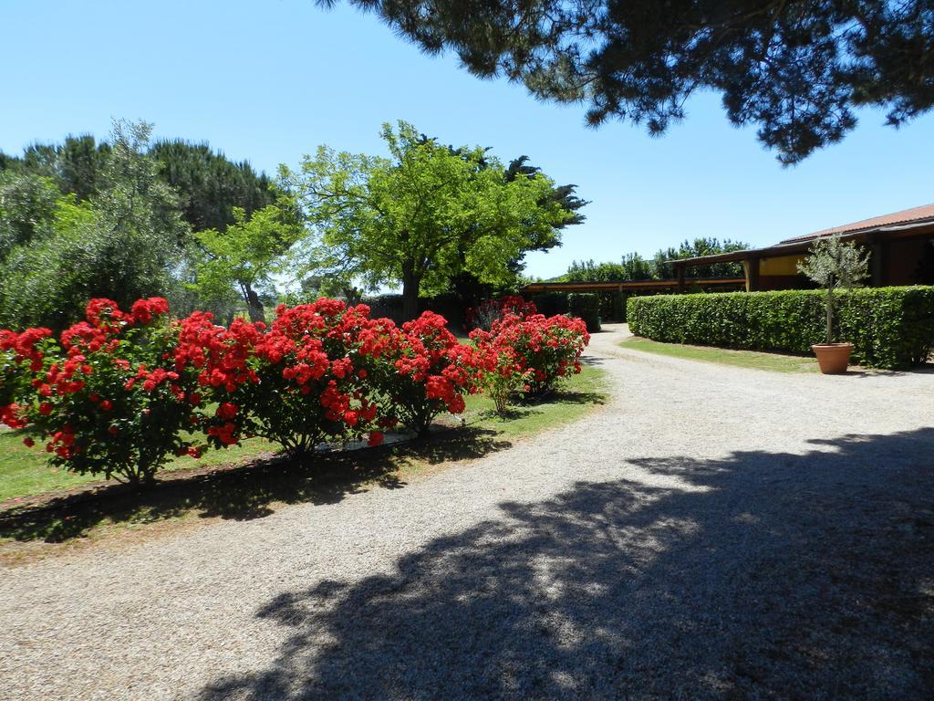 Agriturismo Fusini Villa Magliano in Toscana Esterno foto