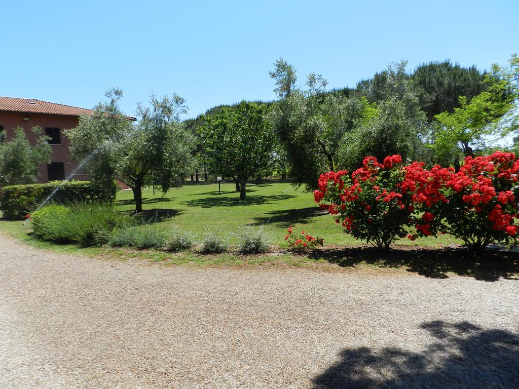 Agriturismo Fusini Villa Magliano in Toscana Esterno foto
