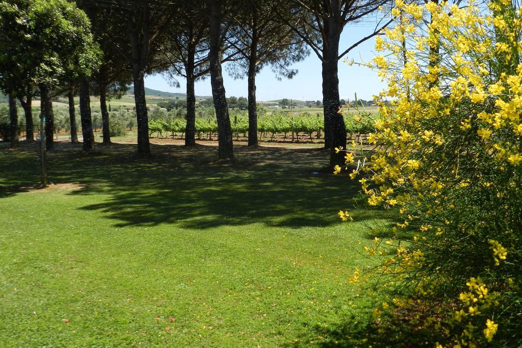 Agriturismo Fusini Villa Magliano in Toscana Esterno foto