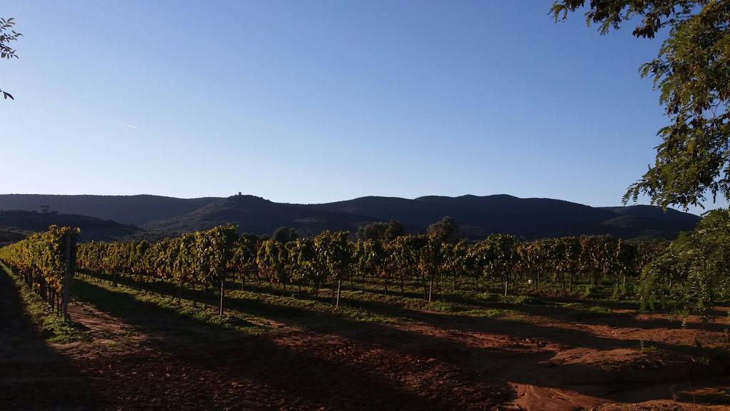 Agriturismo Fusini Villa Magliano in Toscana Esterno foto