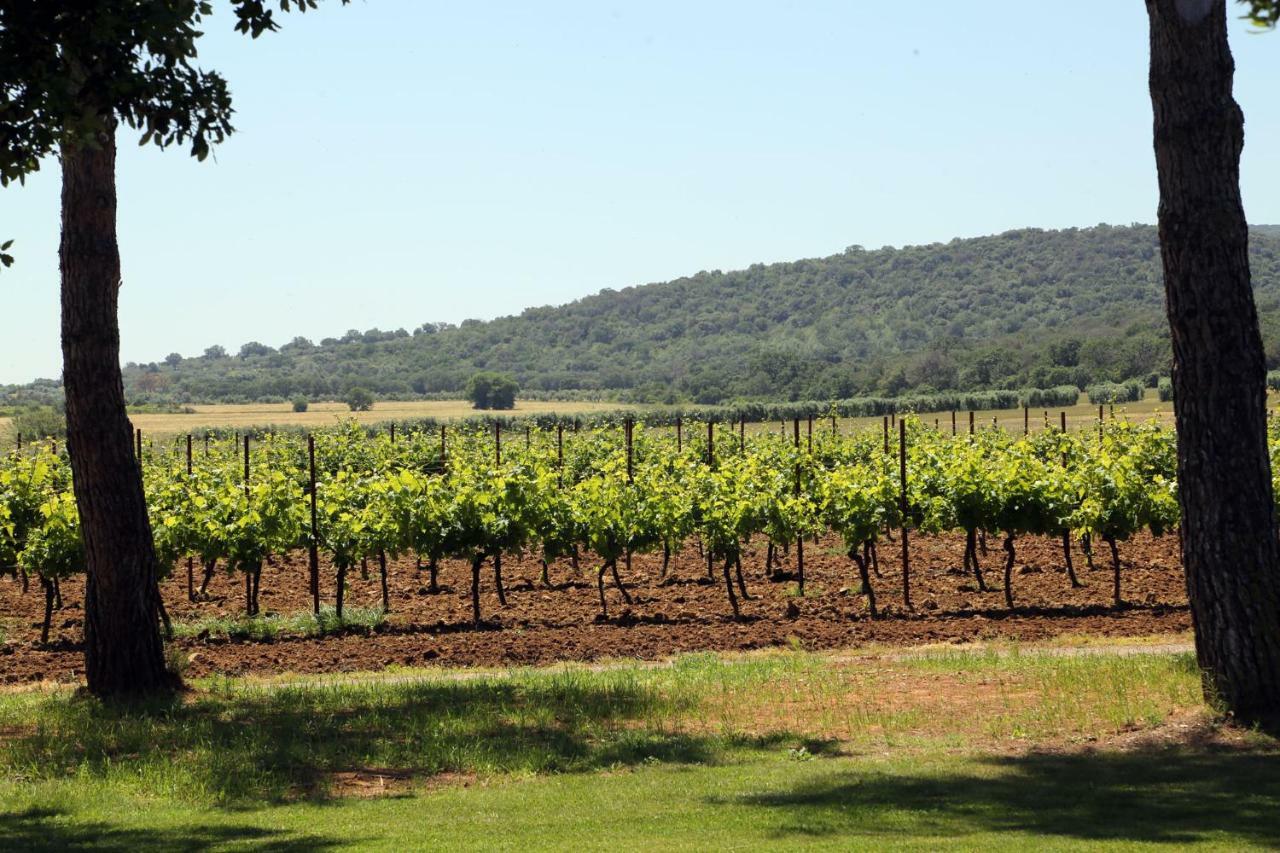 Agriturismo Fusini Villa Magliano in Toscana Esterno foto